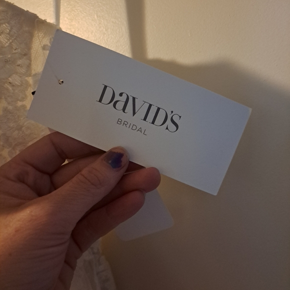 David's Bridal Wedding Gown - Picture 3 of 10